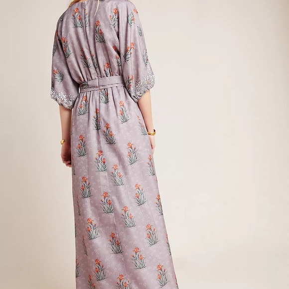 HOST PICK Anthropologie maxi dress - Picture 2 of 3